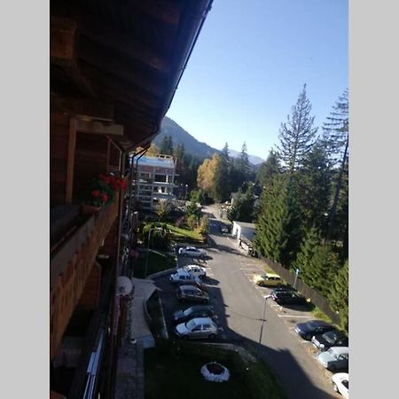 Large Vacation Apartment In Пояна-Брашов Екстер'єр фото