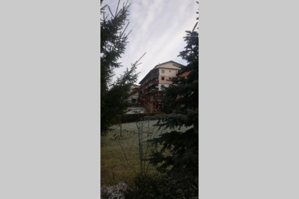 Large Vacation Apartment In Пояна-Брашов Екстер'єр фото