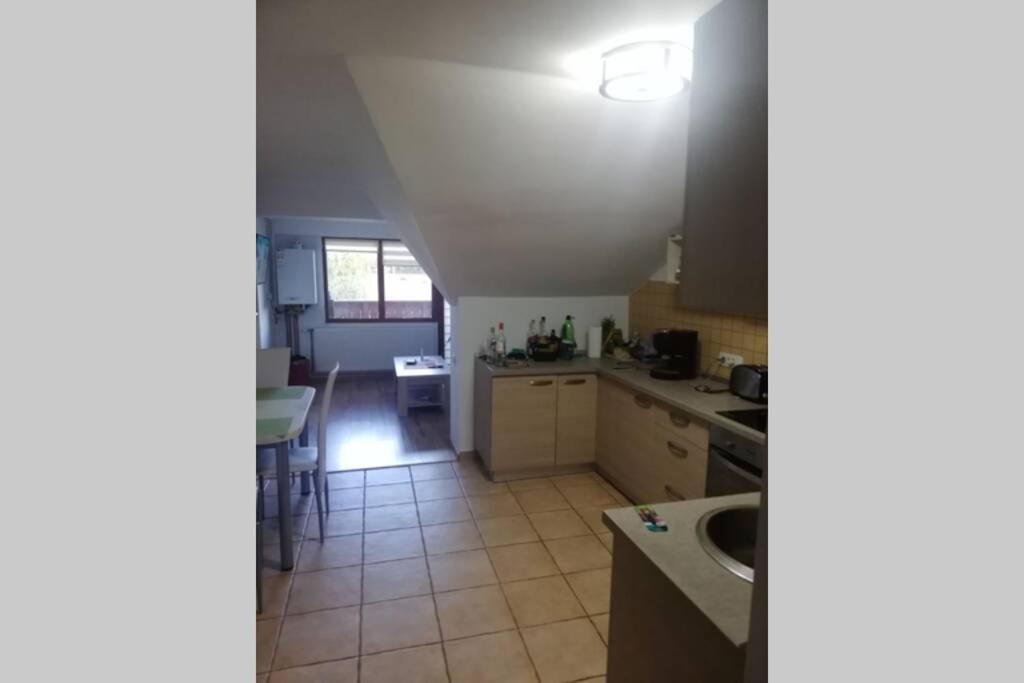 Large Vacation Apartment In Пояна-Брашов Екстер'єр фото